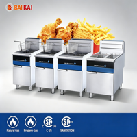Friteuse à gaz autonome de qualité commerciale Core Pro pour hôtels et restaurants - Friteuse à poulet frit KFC, friteuse à frites