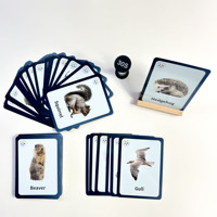 Cartes mémoire personnalisées pour enfants Cartes cognitives animaux étanches Cartes flash éducatives en plastique pour lecture de mots d'enfants