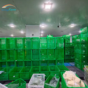 Cella Frigorifera Automatizzata per Macellazione con Unità di Preraffreddamento, Congelatore a Blast <span class=keywords><strong>e</strong></span> Stanza di Conservazione a <span class=keywords><strong>Freddo</strong></span> per Processori di Carne Americani - Product Image 2