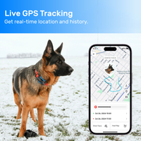 Sistema GPS para Mascotas con Rastreo en Tiempo Real, Alertas de Geocerca, Monitoreo Unificado para Múltiples Mascotas, Datos de Salud y Actividad, Veterinaria con IA, 4G, Silicona