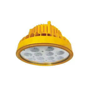 25w 平台光 BC9303-L25 防爆 LED 照明灯具隔爆灯