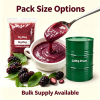 Lotlong Premium Natuurlijke Levendige Paarse Op Maat Gemaakte Productie Fabriek Zoete & Pittige Moerbeipuree voor Fruitthee Smoothie Shop Productie