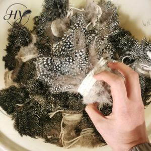 Plumas <span class=keywords><strong>de</strong></span> Gallina <span class=keywords><strong>de</strong></span> <span class=keywords><strong>Guinea</strong></span> Naturales al por Mayor para Atar Moscas, Manualidades, Joyería, Decoraciones <span class=keywords><strong>de</strong></span> Moda - Product Image 4