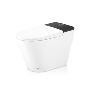 TEJJER Nuevo Inodoro Inteligente de Lujo de Una Pieza con LED Opcional, Conexión de Rociador, Set Completo, Taza y Bidé TA-960DF (Plata) con Rociador de Bidé Integrado - Product Image 5