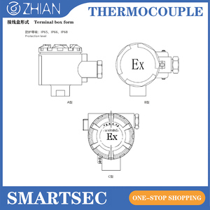 Sonde thermoparesque antidéflagrante Ex d IIB T6 en acier inoxydable 316L pour raffinerie et usine chimique ATEX/IECEx - Product Image 1