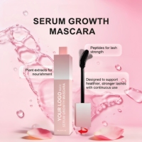 Mascara Volumisant Boost Densité des Cils Volume Extra Séchage Rapide Vente en Gros OEM ODM Personnalisé Mascara Épaississant et Courbant Anti-bavures