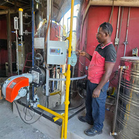 Chaudière à vapeur automatique à gaz naturel à faible pression et faibles émissions de 400 kg/h pour le repassage des vêtements