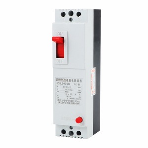 Interruptor Automático en Caja Moldeada MCSH DZ15LE-40/290, Dispositivo de Protección Contra Corriente Residual de 220V - Product Image 4