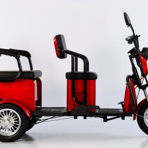 Triciclo Eléctrico Cómodo de 500W, Scooter Eléctrico de 3 Ruedas con Carrocería Abierta y 3 Asientos para Personas Mayores/Discapacitadas/Familias - Product Image 5