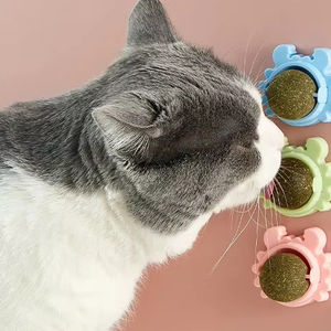 Giocattolo per Gatti High-tech con Pallina di Erba Gatta, Intrattenimento Autonomo con Pallina Anti-morso - Product Image 2