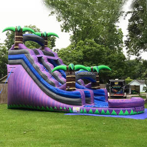 Tropikal palmiye ağaçları şişme slayt olay kiralama öğeleri satılık sıçrama ev su kaydırağı ticari su kaydırağı şişme - Product Image 6