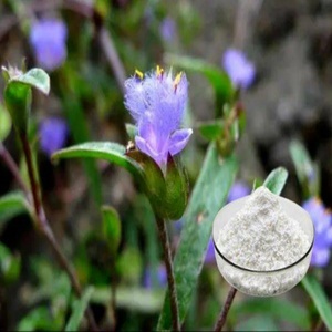 Chất lượng cao springjia ecdysterone, beta-ecdysterone, ecdysone 98% cyanotis vaga chiết xuất cyanotis arachnoidea chiết xuất - Product Image 3