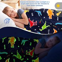 Meilleure couverture de dinosaure foncé doux et lumineux pour les enfants de 1 à 10 ans Cadeaux de Noël, de la Saint-Valentin et de Pâques Literie pour le terrain de jeu des garçons