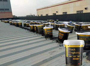 Revestimiento Impermeable <span class=keywords><strong>de</strong></span> Fluorocarbono Negro Superior Anticorrosivo para Almacenes y Parques, Protección Química contra la Corrosión por Pulverización Salina - Product Image 6