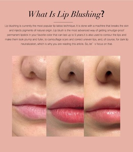 Wenshen Lushcolor 12ml Inoriginal Original Microblading Lip Blushing Tattoo Ink Pigment de maquillage permanent pour les lèvres foncées - Product Image 4