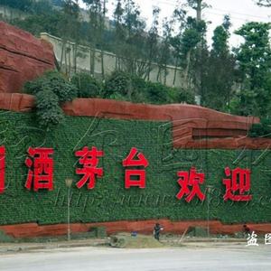 Módulos de Jardín Vertical, Sistema de Pared Verde Vertical, Maceta Colgante de Pared - Product Image 5