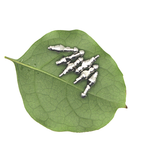 Neodent GM Implant อุปกรณ์เสริมไทเทเนียมอย่างใกล้ชิดเพื่อรับมือกับความประทับใจแบบเปิดโล่ง - Product Image 1