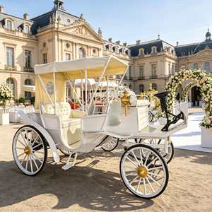 Carruaje Clásico de Lujo para Bodas, Carruaje Paseador Eléctrico para Eventos y Atracciones Turísticas, Alquiler de Carruajes para Desfiles - Product Image 2