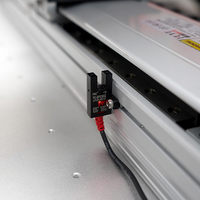 Sistema de Posicionamiento Multieje con Guía Lineal Vertical a Prueba de Polvo, con Motor, Capacidad de Carga de 50 kg, de Aluminio
