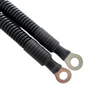 Harnais de câblage OEM personnalisé pour vélos électriques, motos et automobiles - IATF16949 pour IP65 PBT/Nylon/Caoutchouc