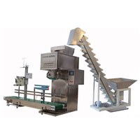 Machine d'emballage automatique de gros sacs DGS50k 5-50 kg, machine de pesage et de remplissage de riz, de céréales et d'aliments pour animaux, 304SUS