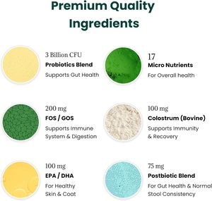 Probiotiques pour chiens OEM ODM Private Label avec prébiotiques favorisant un microbiome intestinal équilibré - Renforce la santé immunitaire - Friandises à mâcher molles - Product Image 3