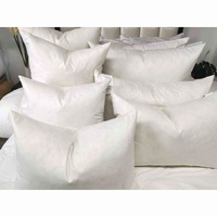 Vente chaude : Inserts de coussin en duvet et plumes d'oie et de canard pour un sommeil sain, qualité hôtelière 5 étoiles, pour hôtels et usage domestique