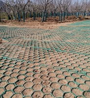 Grille de gazon en plastique pour la stabilisation des sols de parkings, système de pavage emboîtable, grille de pavage pour allées et graviers