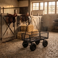 Carretilla de Jardín Plegable de Acero Inoxidable con 4 Ruedas, Carro de Mano Utilitario con Mango en D OEM para Acampar al Aire Libre y Construcción