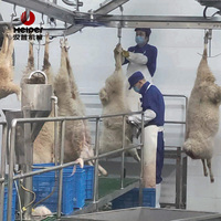 Chaîne de production clé en main pour l'abattage de moutons et d'agneaux, avec moteur, roulement et acier inoxydable 304