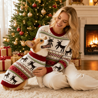 Ensemble de pulls en tricot assortis pour chien et propriétaire, sur mesure, ODM, OEM, vente en gros, Noël, famille, animal de compagnie, parent, pull, gilet