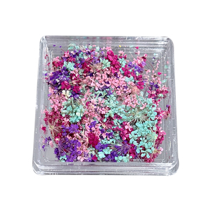 Los últimos productos de <span class=keywords><strong>uñas</strong></span> 3D de mini <span class=keywords><strong>flores</strong></span> <span class=keywords><strong>naturales</strong></span> reales, pegatinas de <span class=keywords><strong>flores</strong></span> secas, diseños de dijes de manicura <span class=keywords><strong>para</strong></span> accesorios de <span class=keywords><strong>uñas</strong></span> - Product Image 5