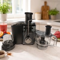 Mini mixeur centrifugeuse 4-en-1 multifonctionnel pour cuisine, avec boîtier en acier inoxydable, capacité de 800 ml, moteur 800 W, fonction hachoir, trancheur et râpe