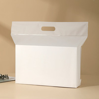 Sacs de Courrier Transparents Mat CPE avec Poignée Longue – Sacs d'Emballage PE Auto-adhésifs pour E-commerce Transfrontalier