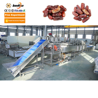 Mobiele Fruitverwerkingsmachine Palmdata Productielijn Data Was-En Sorteermachine