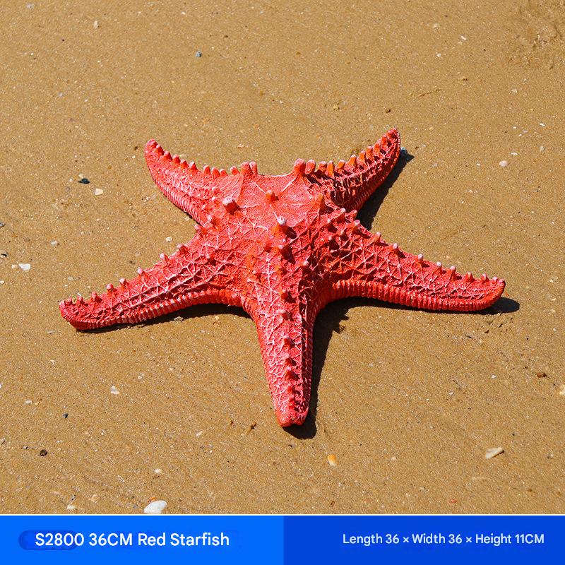 ปลาดาวสีแดง Style05_36cm