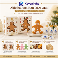 Bougie en forme de bonhomme en pain d'épices pour Noël, 42g, 100% coton, certifiée MSDS, dans une boîte cadeau découpée avec fenêtre, motif dessin animé mignon