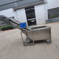RVS gaasbandtransportband voor voorwas- en hefwerken in de fruit- en groenteproductielijn