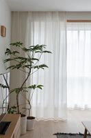 Usine vente chaude semi rideau transparent pour salon