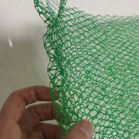 Matelas composite en plastique vert bon marché Érosion de vidange de végétation Géonet 3D pour le contrôle Slop Protéger le paysage