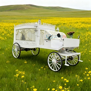 White Funeral Hearse Classic Limousines Beautiful Funeral Electric Modern Car Luxury Hearse <b>Trailer</b> for Sale - Product Image 1