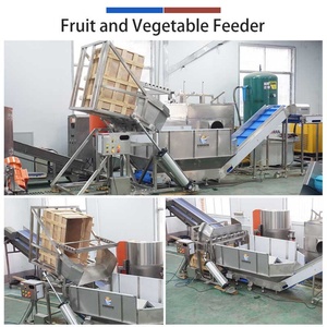 Línea de Procesamiento de Vegetales de Raíz Personalizada de Fábrica: Línea de Ensamblaje de Batata, Patata, Jicama y Taro - Product Image 2