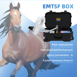 Portable Pemf Magnetic Therapy Device EMTT Loop Horse Magnetic Therapy Pemf Machine - Product Image 2