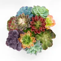 Lifelike Real Touch Various Succulent Plants