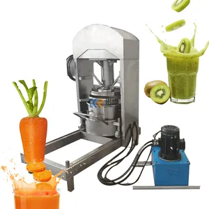 Filtro de vegetais de frutas comercial, imprensa extrator de suco, máquina de filtro de resíduos de óleo hidráulico