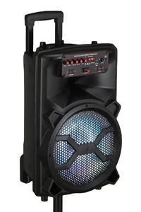 Altavoces TS1282 de 12 pulgadas Retro <span class=keywords><strong>Boombox</strong></span> Caixa De Som Powered Subwoofer Altavoz de Karaoke portátil para exteriores con micrófono y Bluetooth - Product Image 4