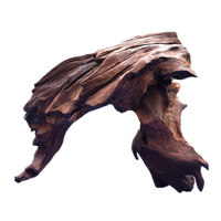Plante aquatique artificielle violette moderne en gros pour aquarium, décoration paysagère, cachette naturelle pour aquariums et scènes aquatiques