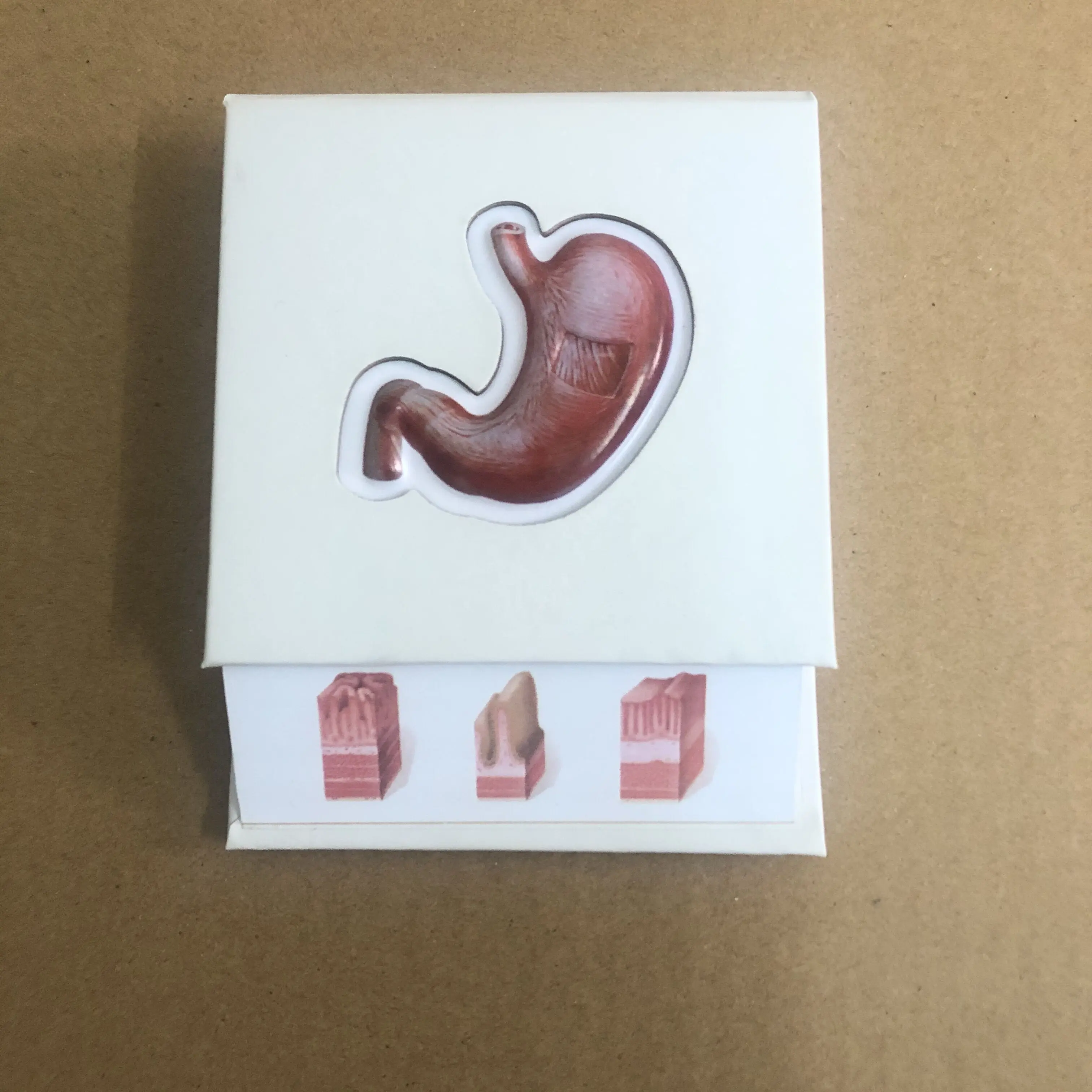 3D kabartmalı not defteri tıbbi promosyon hediyeler için