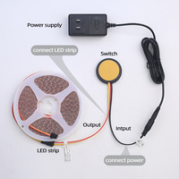 Lumière LED pour armoire avec capteur tactile, interrupteur à capteur à couleur réglable, interrupteur tactile intelligent encastré DC12V/24V.