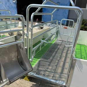 Attrezzature di Alta Qualità per Allevamento Suini, Gabbie per Parto e Maternità, Recinti per Suini - Product Image 2